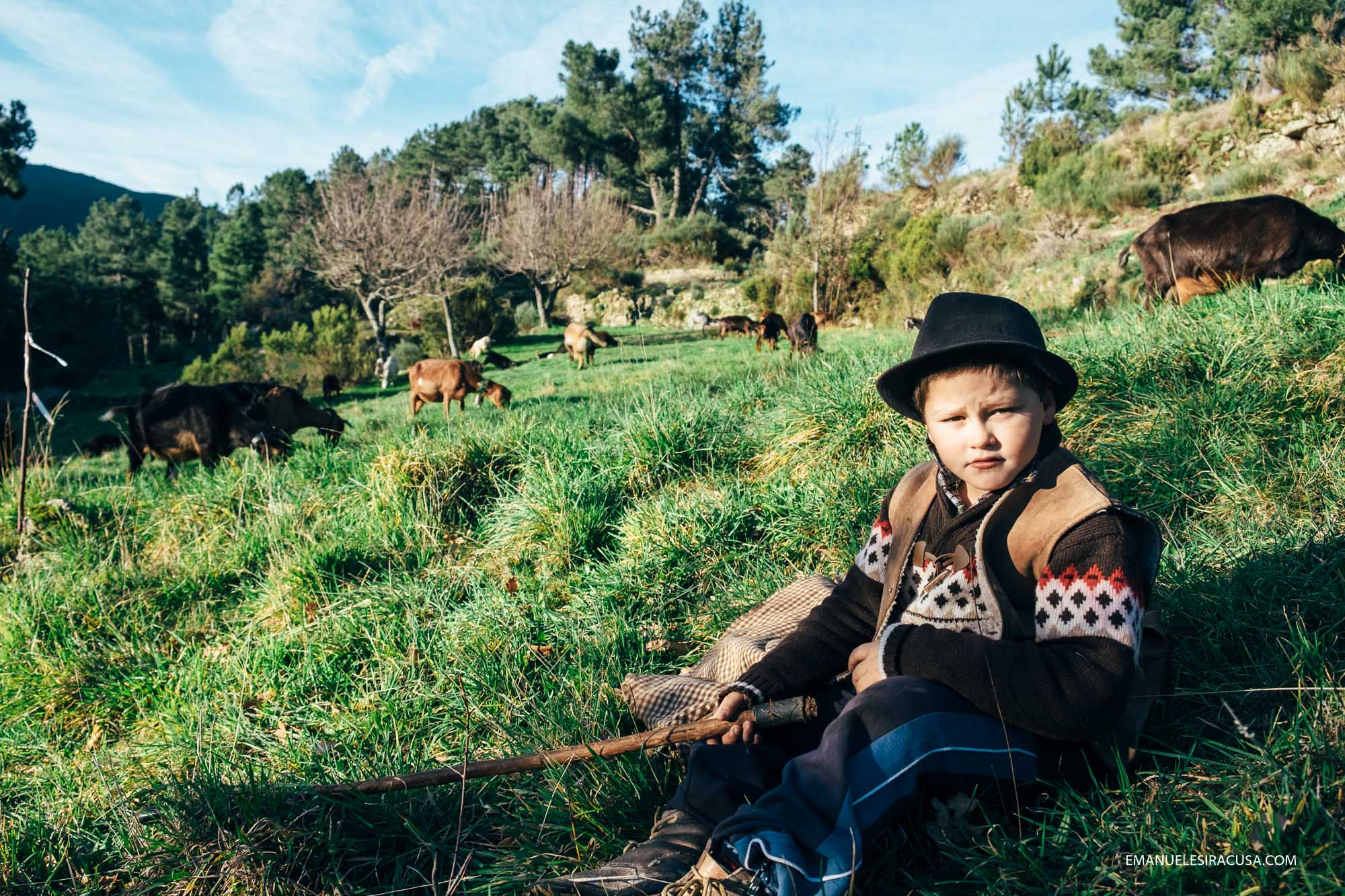 Dinis is only 9 years old but he knows he wants to be a herder. He lives with his mum, his two uncles and his beloved goats. He goes to school during the week, but at weekends he wakes up early, milk the goats and take them out with his uncle Miguel.